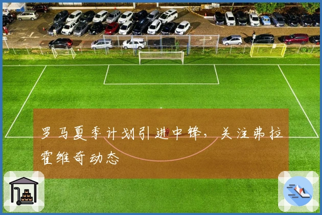 罗马夏季计划引进中锋，关注弗拉霍维奇动态