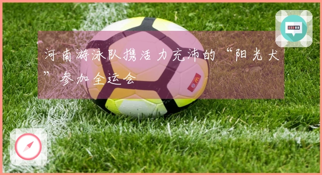 河南游泳队携活力充沛的“阳光犬”参加全运会